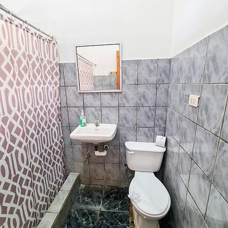 Cabinas Coco Alegre Екстериор снимка